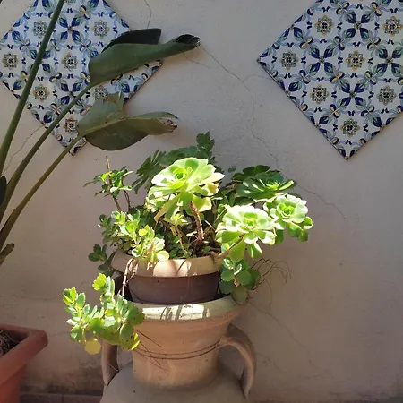 Penthouse Im Zentrum Von Apartment Palermo